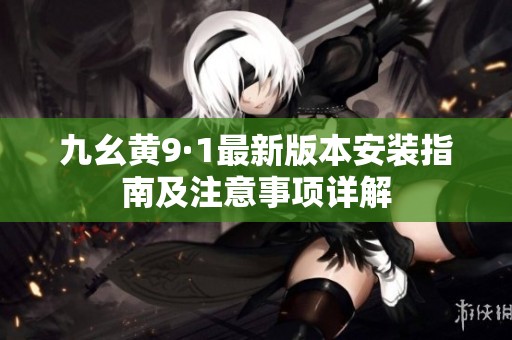 九幺黄9·1最新版本安装指南及注意事项详解
