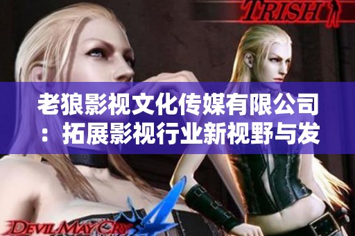 老狼影视文化传媒有限公司：拓展影视行业新视野与发展潜力