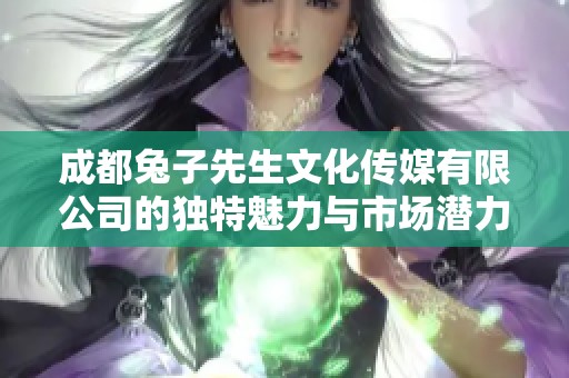 成都兔子先生文化传媒有限公司的独特魅力与市场潜力分析