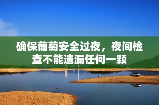 确保葡萄安全过夜，夜间检查不能遗漏任何一颗