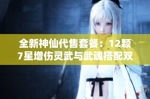 全新神仙代售套餐：12颗7星增伤灵武与武魂搭配双重装备！