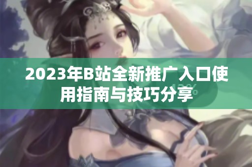2023年B站全新推广入口使用指南与技巧分享