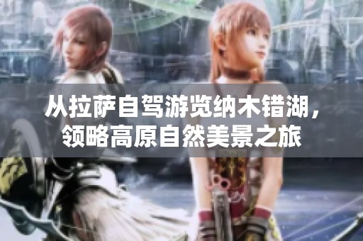 从拉萨自驾游览纳木错湖，领略高原自然美景之旅