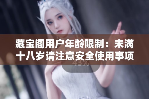 藏宝阁用户年龄限制：未满十八岁请注意安全使用事项