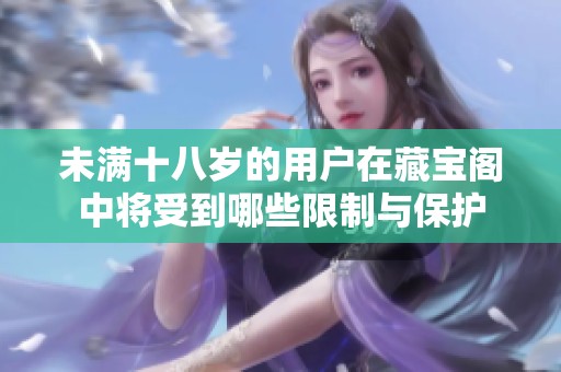 未满十八岁的用户在藏宝阁中将受到哪些限制与保护