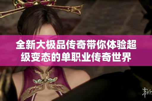 全新大极品传奇带你体验超级变态的单职业传奇世界
