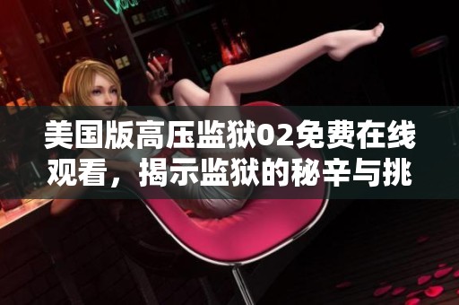 美国版高压监狱02免费在线观看，揭示监狱的秘辛与挑战