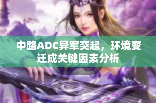 中路ADC异军突起，环境变迁成关键因素分析