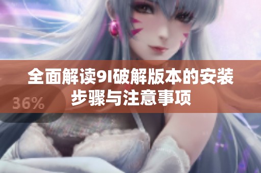 全面解读9I破解版本的安装步骤与注意事项