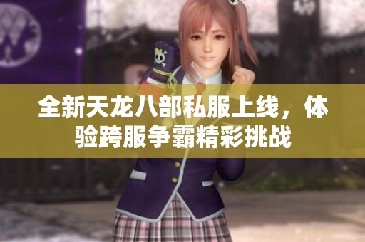 全新天龙八部私服上线，体验跨服争霸精彩挑战