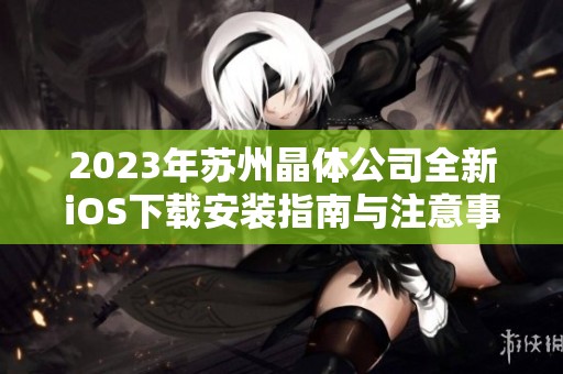 2023年苏州晶体公司全新iOS下载安装指南与注意事项