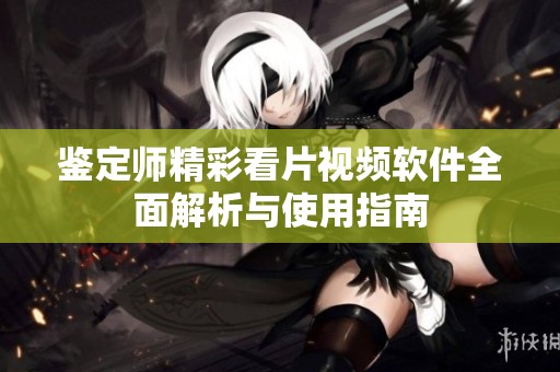 鉴定师精彩看片视频软件全面解析与使用指南