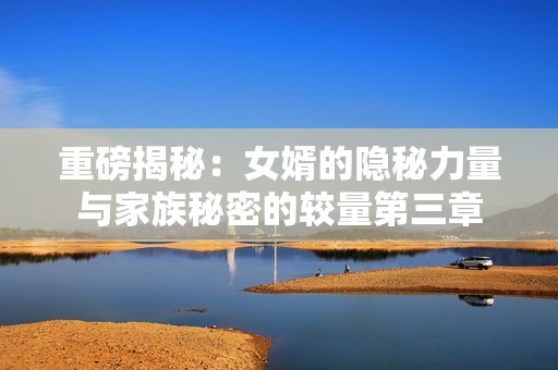 重磅揭秘：女婿的隐秘力量与家族秘密的较量第三章