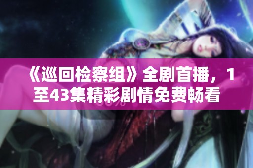 《巡回检察组》全剧首播，1至43集精彩剧情免费畅看