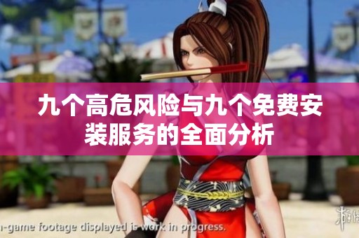 九个高危风险与九个免费安装服务的全面分析