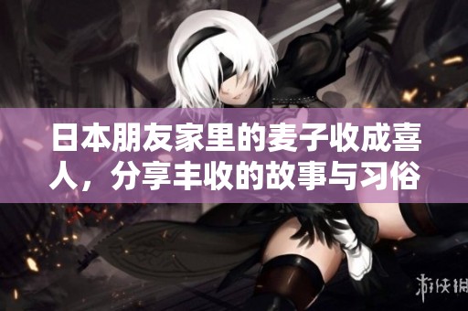 日本朋友家里的麦子收成喜人，分享丰收的故事与习俗