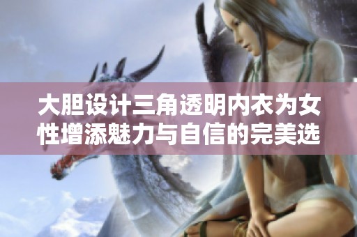 大胆设计三角透明内衣为女性增添魅力与自信的完美选择