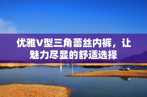 优雅V型三角蕾丝内裤，让魅力尽显的舒适选择
