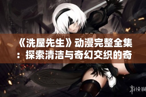 《洗屋先生》动漫完整全集：探索清洁与奇幻交织的奇妙冒险之旅