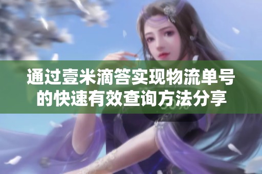 通过壹米滴答实现物流单号的快速有效查询方法分享