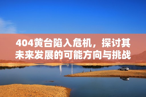 404黄台陷入危机，探讨其未来发展的可能方向与挑战