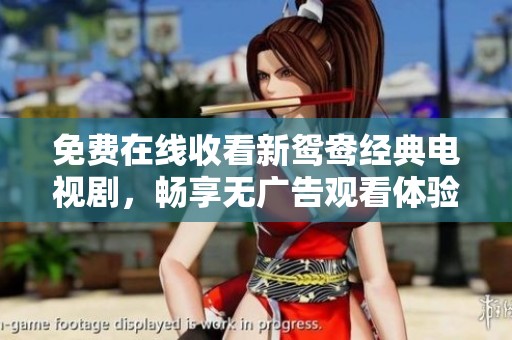免费在线收看新鸳鸯经典电视剧，畅享无广告观看体验