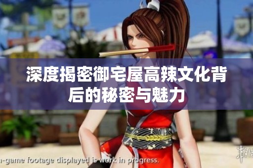 深度揭密御宅屋高辣文化背后的秘密与魅力