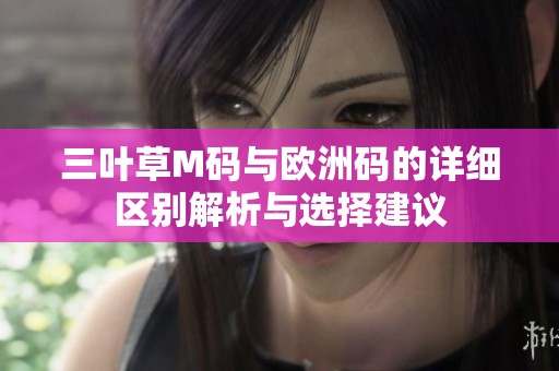 三叶草M码与欧洲码的详细区别解析与选择建议