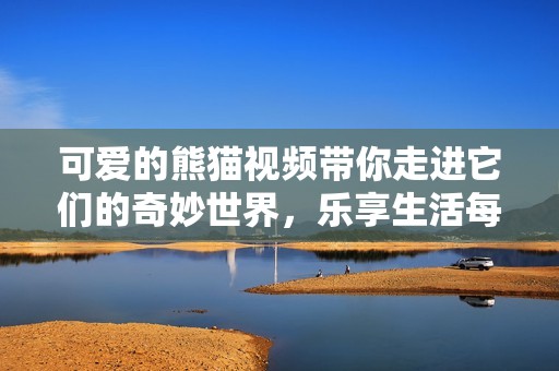 可爱的熊猫视频带你走进它们的奇妙世界，乐享生活每一天
