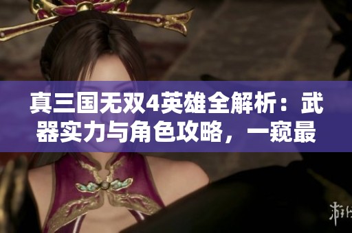 真三国无双4英雄全解析：武器实力与角色攻略，一窥最强英豪之谜