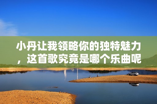 小丹让我领略你的独特魅力，这首歌究竟是哪个乐曲呢