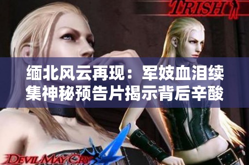 缅北风云再现：军妓血泪续集神秘预告片揭示背后辛酸故事
