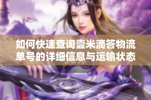 如何快速查询壹米滴答物流单号的详细信息与运输状态