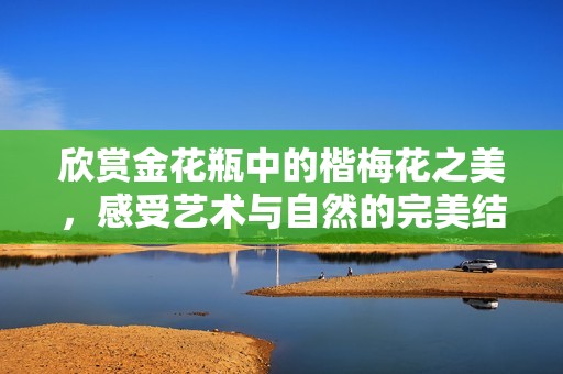 欣赏金花瓶中的楷梅花之美，感受艺术与自然的完美结合