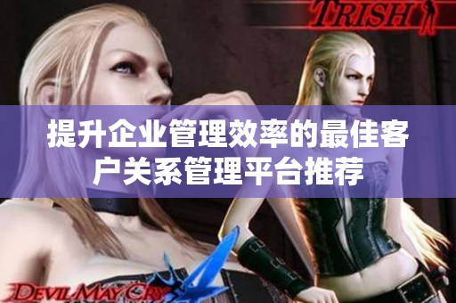 提升企业管理效率的最佳客户关系管理平台推荐