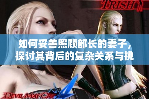 如何妥善照顾部长的妻子，探讨其背后的复杂关系与挑战