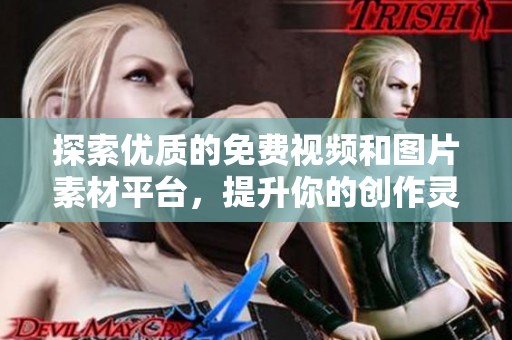 探索优质的免费视频和图片素材平台，提升你的创作灵感与质量