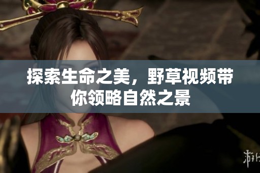 探索生命之美，野草视频带你领略自然之景
