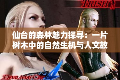 仙台的森林魅力探寻：一片树木中的自然生机与人文故事