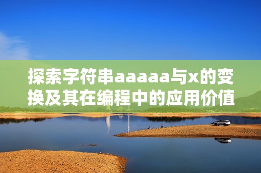 探索字符串aaaaa与x的变换及其在编程中的应用价值