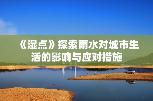 《湿点》探索雨水对城市生活的影响与应对措施