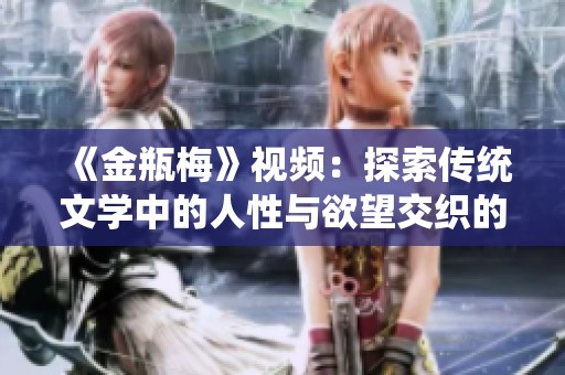 《金瓶梅》视频：探索传统文学中的人性与欲望交织的复杂故事