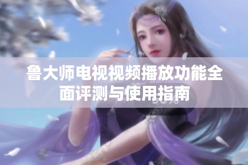 鲁大师电视视频播放功能全面评测与使用指南