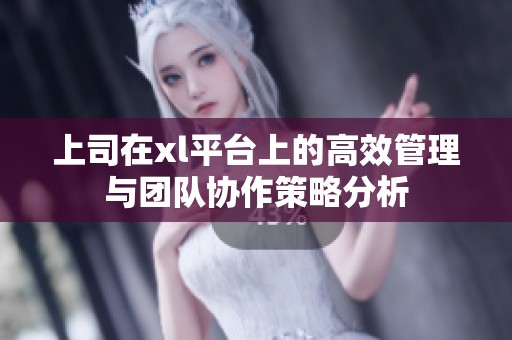 上司在xl平台上的高效管理与团队协作策略分析