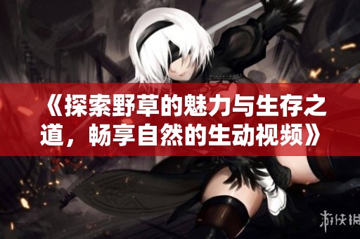 《探索野草的魅力与生存之道，畅享自然的生动视频》