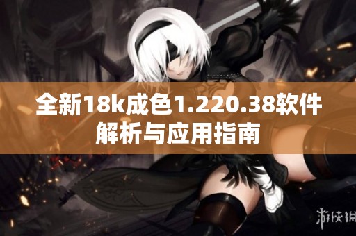 全新18k成色1.220.38软件解析与应用指南