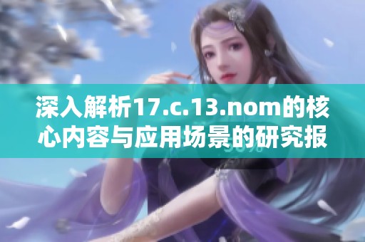深入解析17.c.13.nom的核心内容与应用场景的研究报告