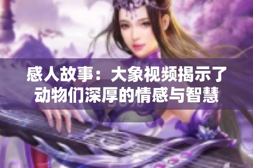 感人故事：大象视频揭示了动物们深厚的情感与智慧