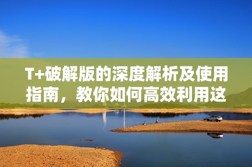 T+破解版的深度解析及使用指南，教你如何高效利用这一工具
