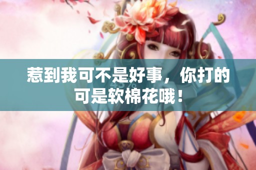 惹到我可不是好事，你打的可是软棉花哦！